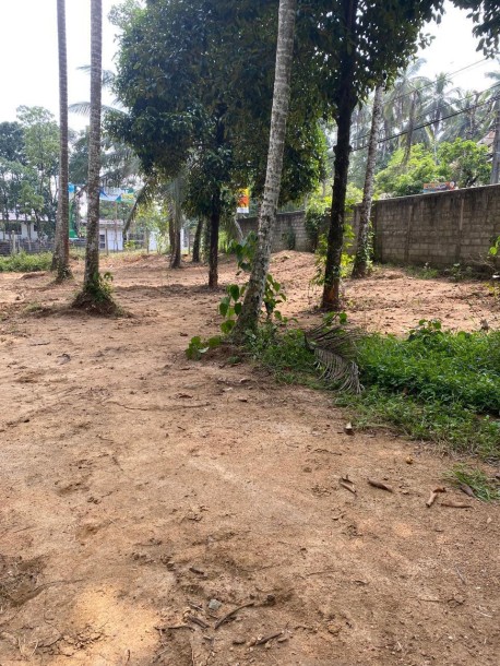 4A 30P Land for Sale in Watareka, Padukka | LKR 368.5 Million ( LA4646)-6