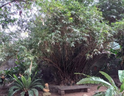 50 Perch Land with Bungalow for Sale in , Maharagama |LKR 200 Mn(LA4700)-5