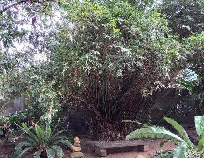 50 Perch Land with Bungalow for Sale in , Maharagama |LKR 200 Mn(LA4700)-5