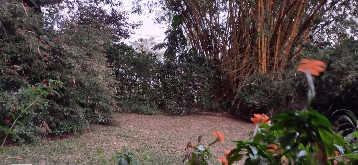 50 Perch Land with Bungalow for Sale in , Maharagama |LKR 200 Mn(LA4700)-3