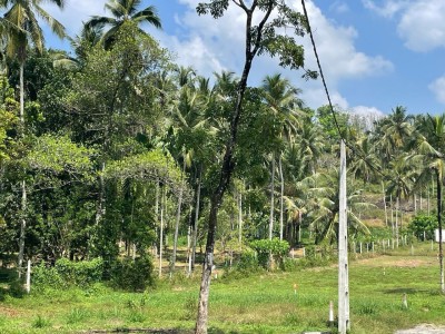 4A 30P Land for Sale in Watareka, Padukka | LKR 368.5 Million ( LA4646)-3
