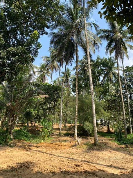 4A 30P Land for Sale in Watareka, Padukka | LKR 368.5 Million ( LA4646)-4