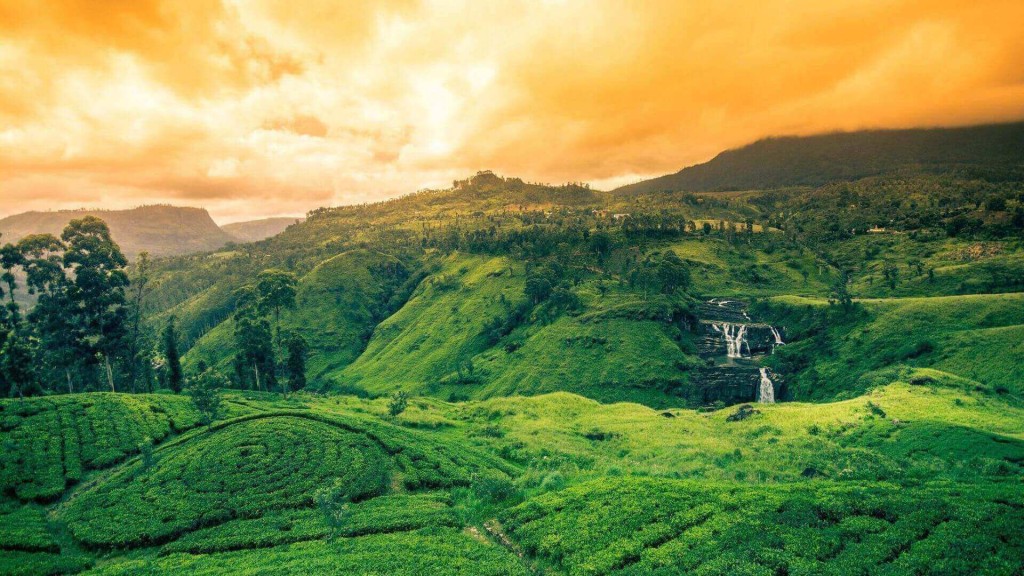 Why Houses for Sale in Kandy Are Perfect Investment Opportunities