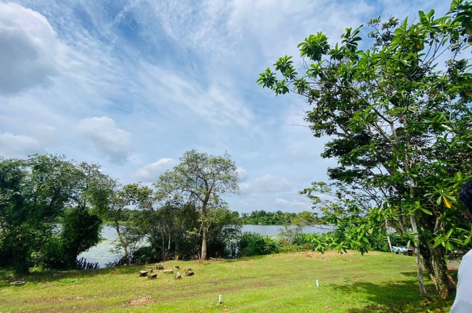 Waterfront Land for Sale in Bolgoda-2