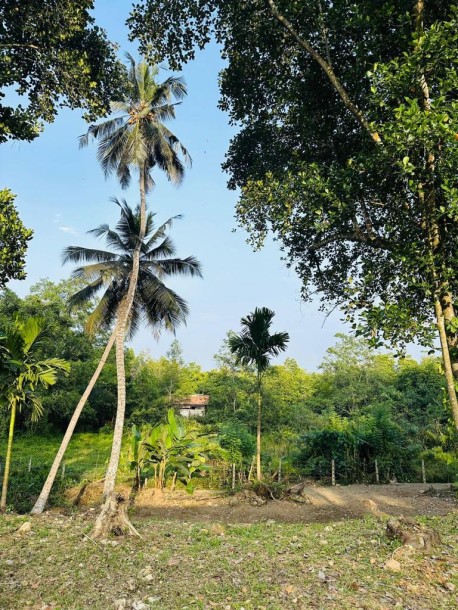 Land for Sale - Hikkaduwa | LKR 94,000,000-5