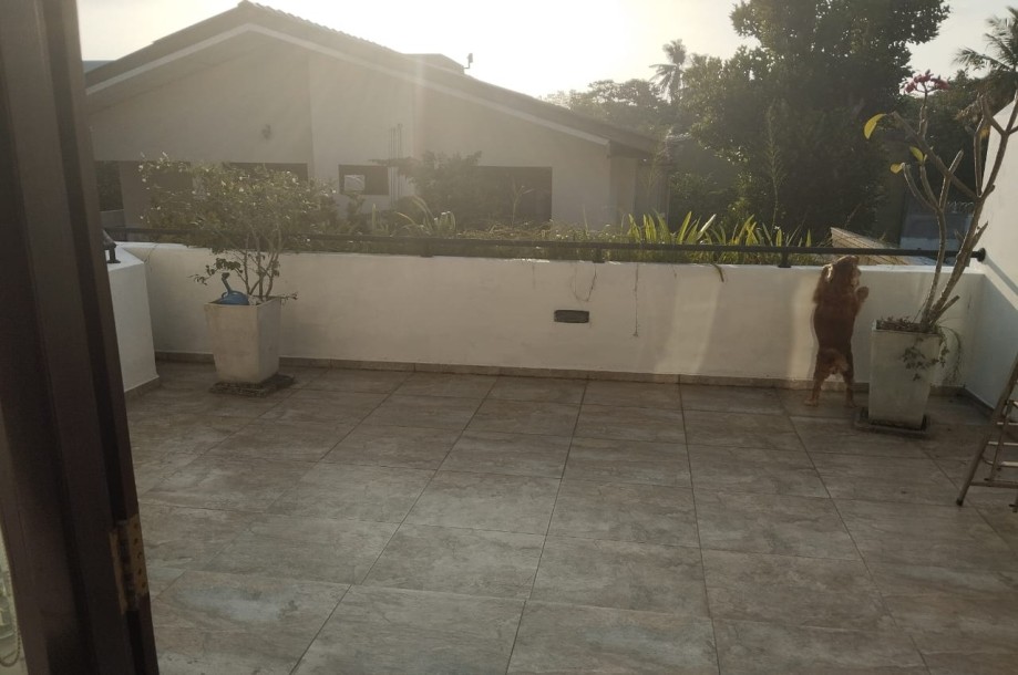 House for Rent in Mt Lavinia-10