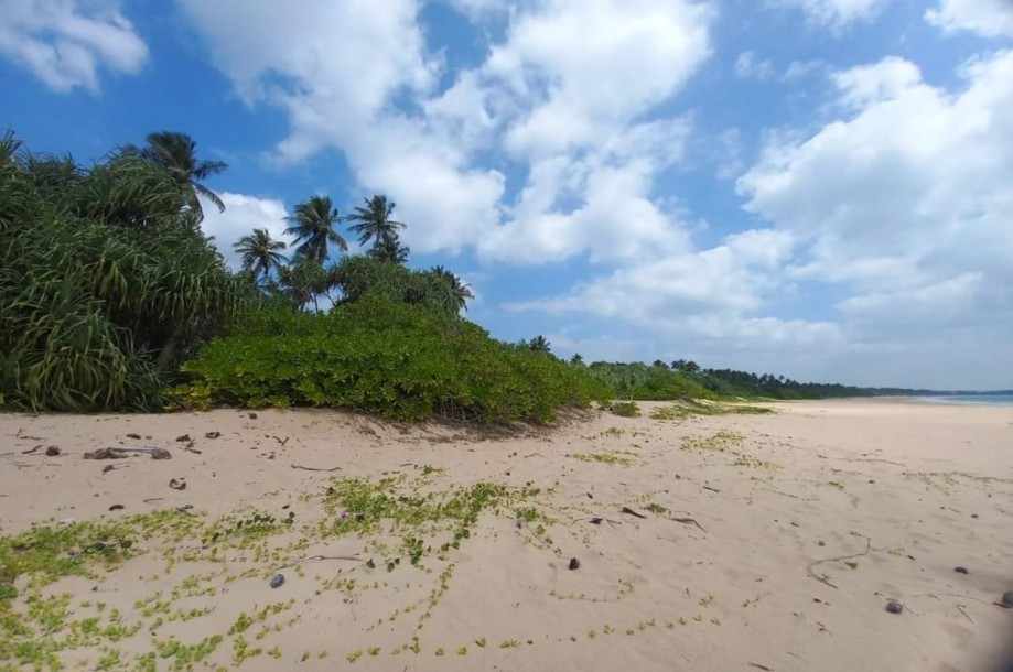 Commercial Beach Front Land for Sale in Tangalle-5
