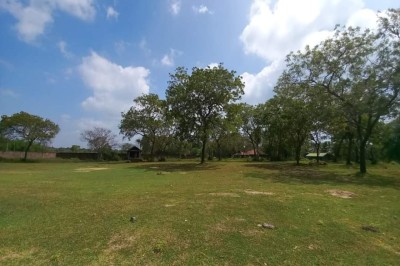 Commercial Beach Front Land for Sale in Tangalle-3