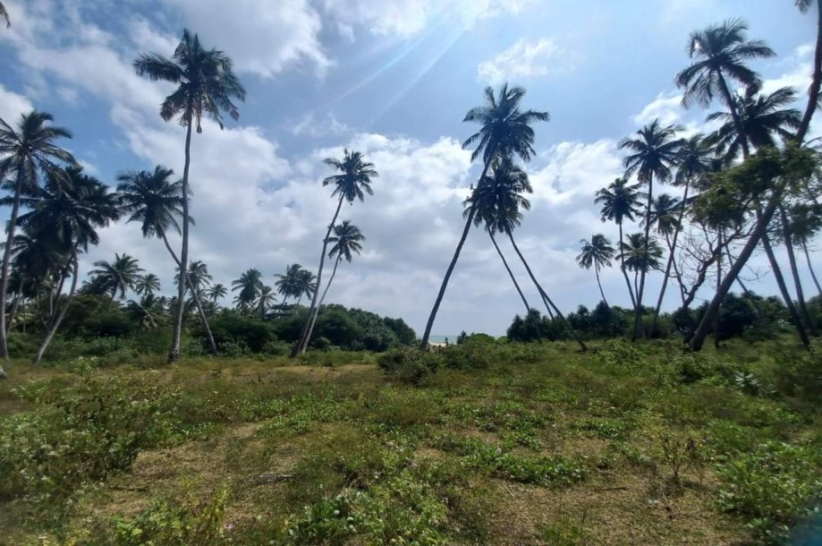 Commercial Beach Front Land for Sale in Tangalle-4