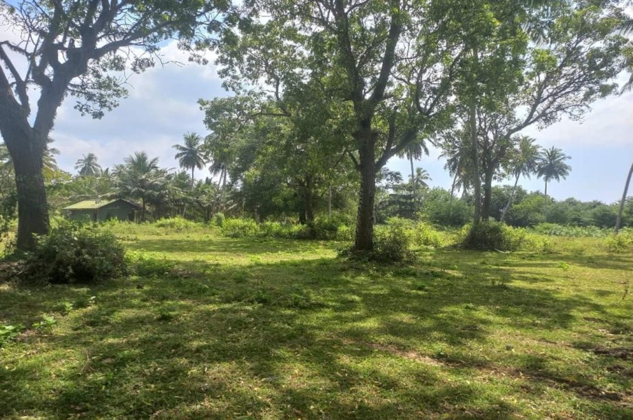 Commercial Beach Front Land for Sale in Tangalle-2