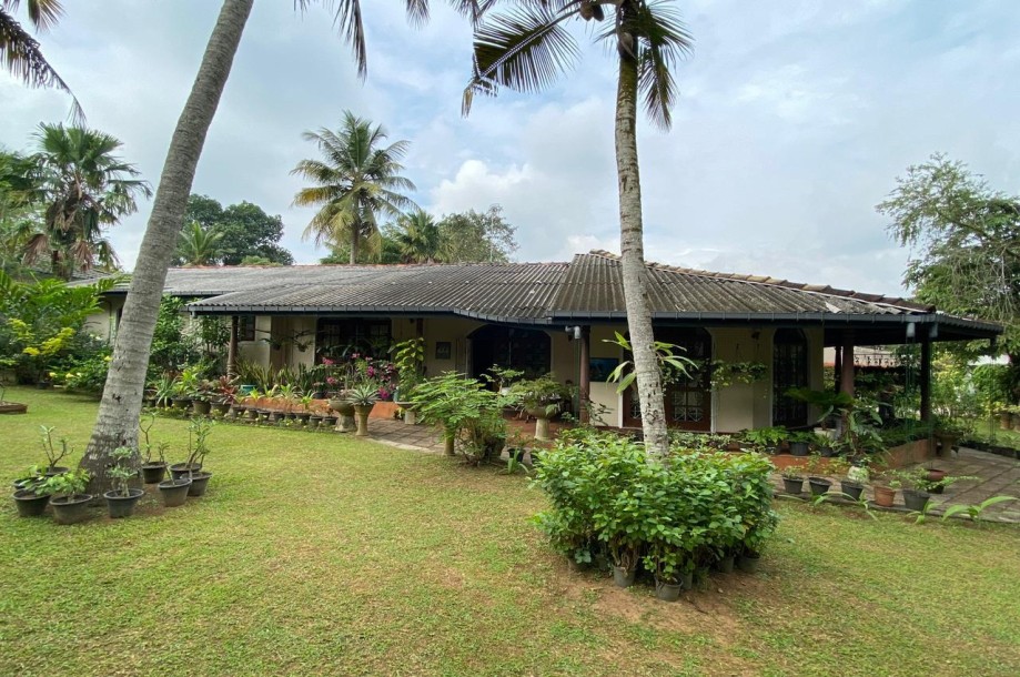 Tropical style property for sale in Battaramulla-1