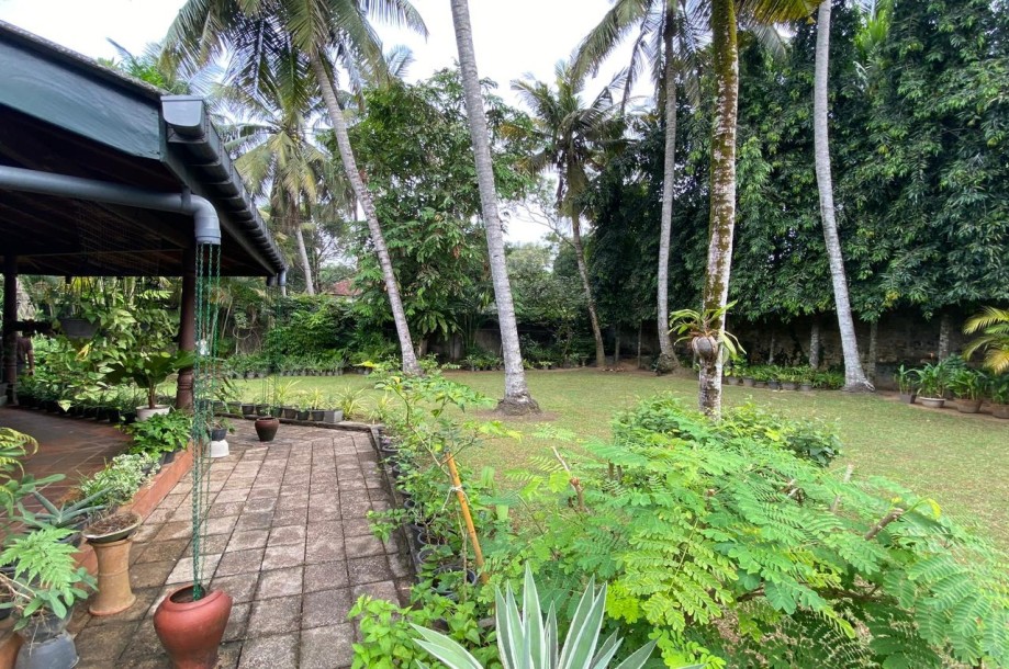 Tropical style property for sale in Battaramulla-4
