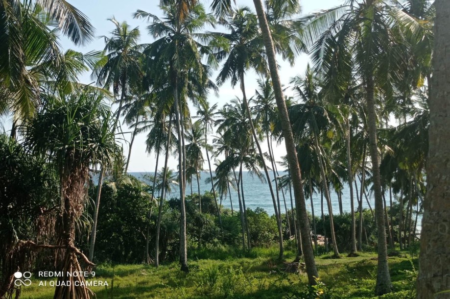 Land for Sale: Your Dream Property in Hiriketiya Beach, Sri Lanka-4