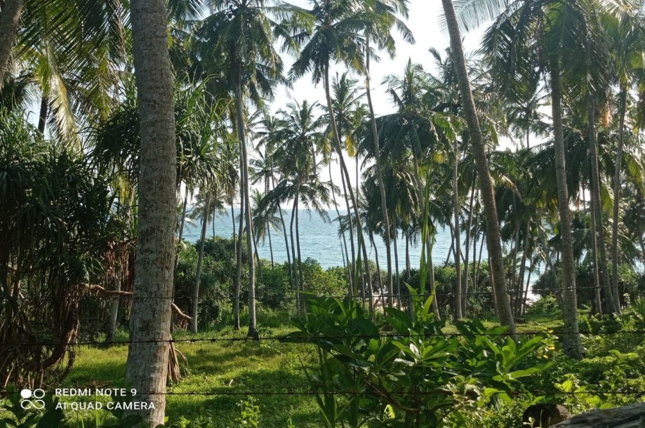 Land for Sale: Your Dream Property in Hiriketiya Beach, Sri Lanka-8