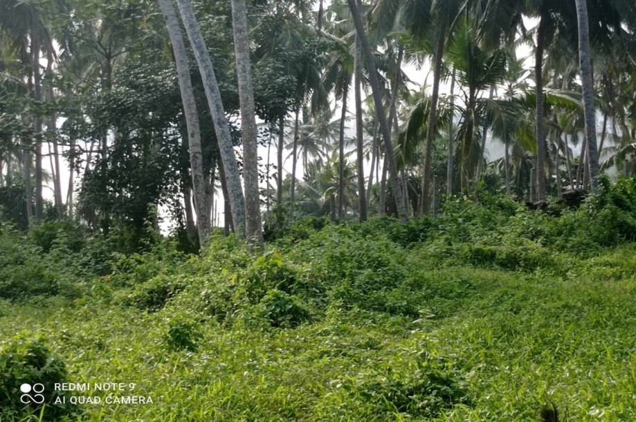 Land for Sale: Your Dream Property in Hiriketiya Beach, Sri Lanka-5