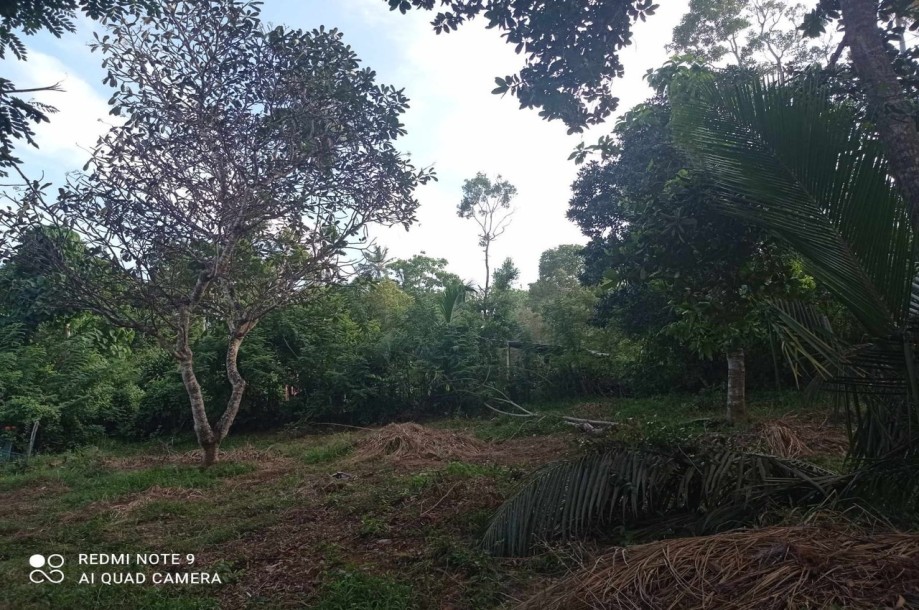 Land for Sale: Your Dream Property in Hiriketiya Beach, Sri Lanka-7