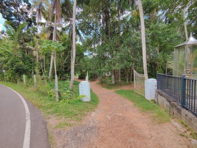 Massive Land for Sale in  Veyangoda-6