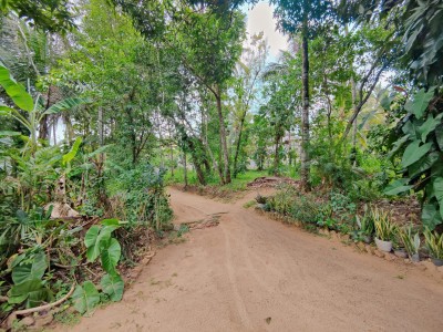 Massive Land for Sale in  Veyangoda-5