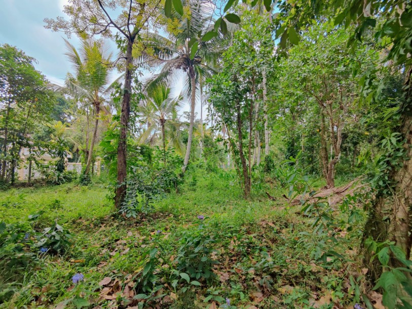 Massive Land for Sale in  Veyangoda-3