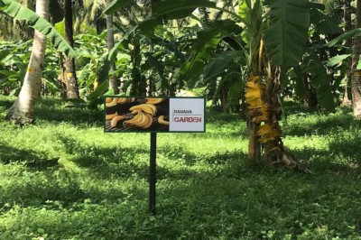 Farm for Sale in Kurunegala-5