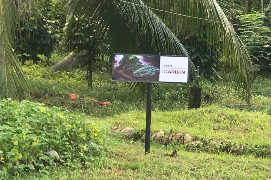 Farm for Sale in Kurunegala-4
