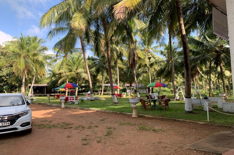 Farm for Sale in Kurunegala-8