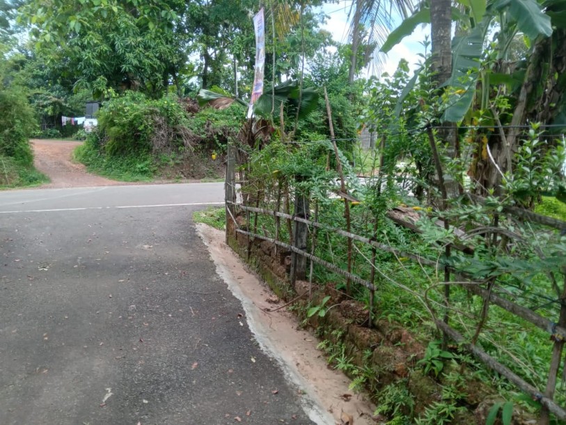 LAND FOR SALE IN PANNIPITIYA-3