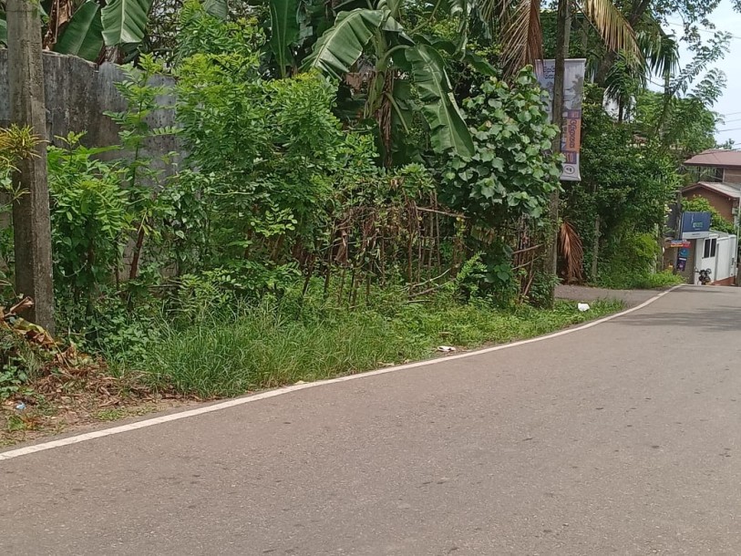 LAND FOR SALE IN PANNIPITIYA-2