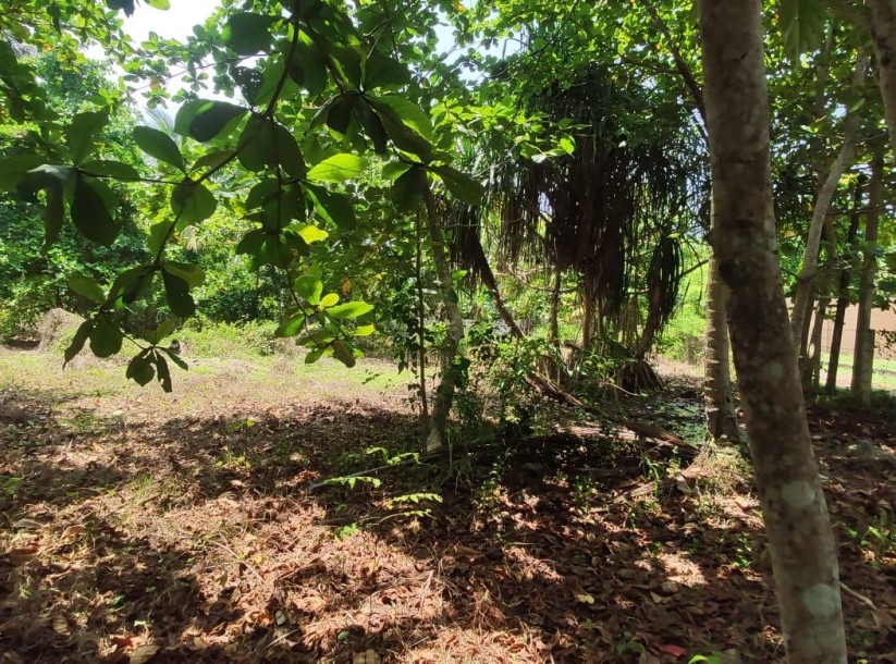 Land for Sale in Kosgoda-1
