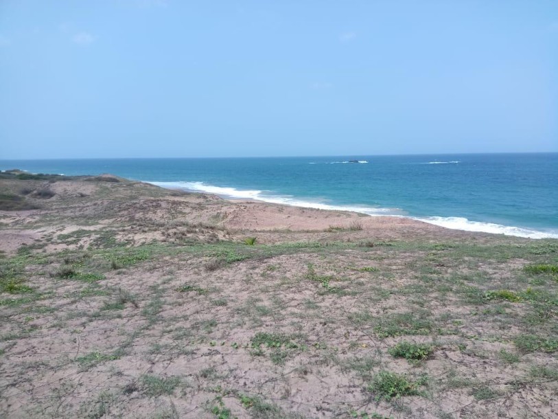 Beachfront Land for Sale-1