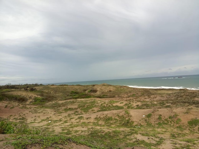 Beachfront Land for Sale-3