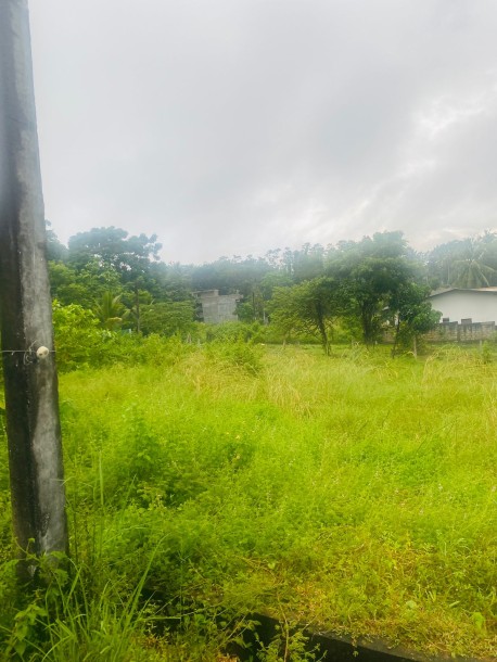 Land for Sale in Panadura-3