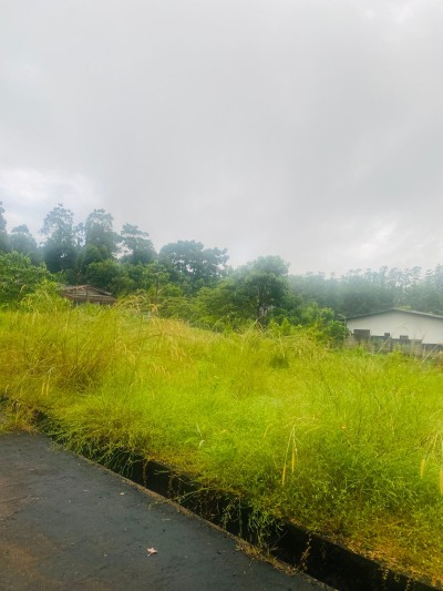 Land for Sale in Panadura