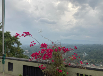 House & Land for Sale in Lewella, Kandy | LKR 90 Million /HS4668 (Negotiable)-8