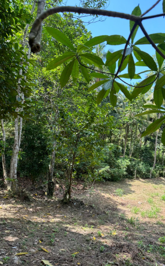 Land for Sale in Unawatuna, Talpe | Price LKR 45 Million (LA4673)-6