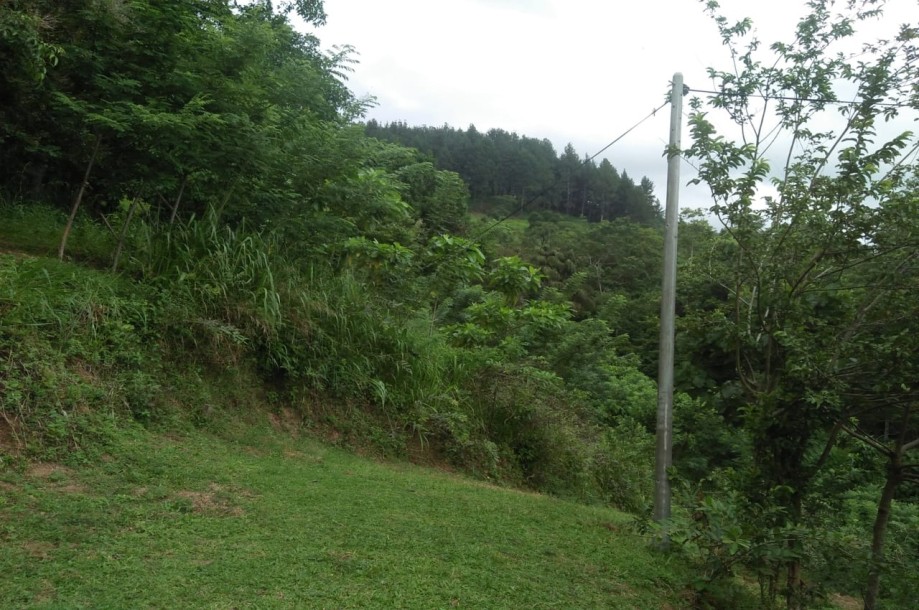 Stunning Estate Land for sale in Kandy-1