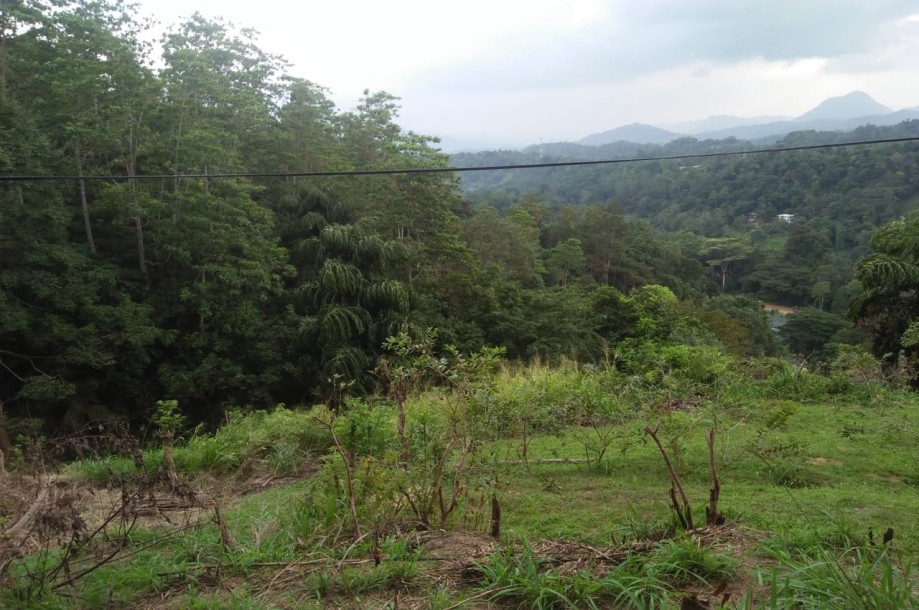 Stunning Estate Land for sale in Kandy-2