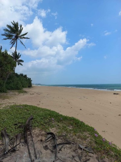 Beach Front Commercial Land for Sale in Tangalle