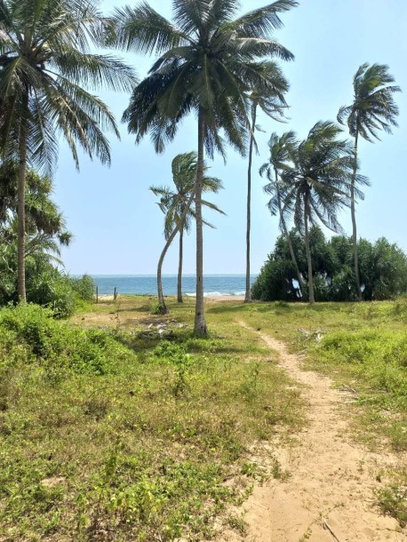 Beach Front Commercial Land for Sale in Tangalle-3