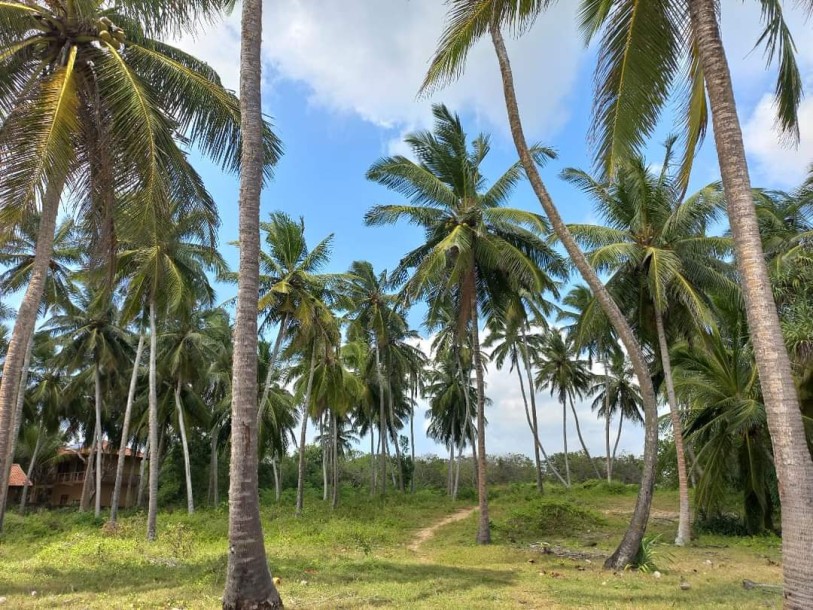 Beach Front Commercial Land for Sale in Tangalle-2