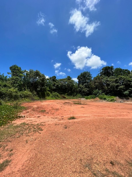 153 perches land in Kirigampamunuwa for sale-2