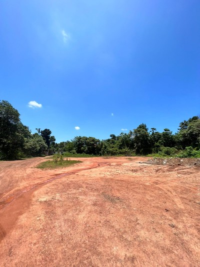 153 perches land in Kirigampamunuwa for sale