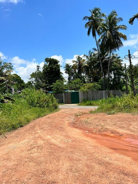 153 perches land in Kirigampamunuwa for sale-4