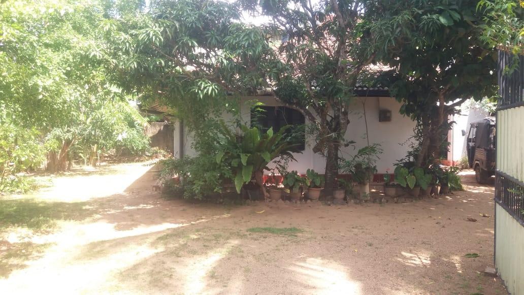 Land with an old house is for sale at Matara town-2