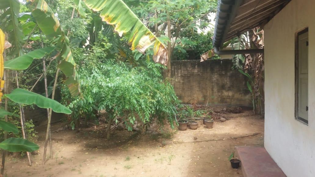 Land with an old house is for sale at Matara town-3