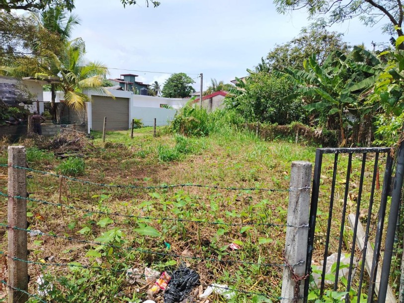 Bare Land for Sale in Ratmalana-1