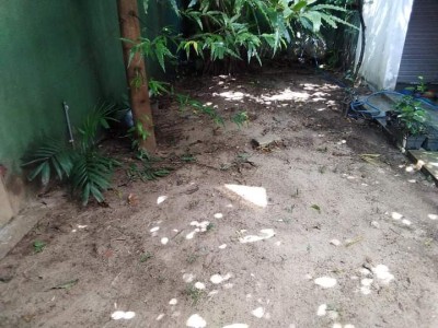 Prime Residential Land for Sale in Rosmead Place, Colombo 07