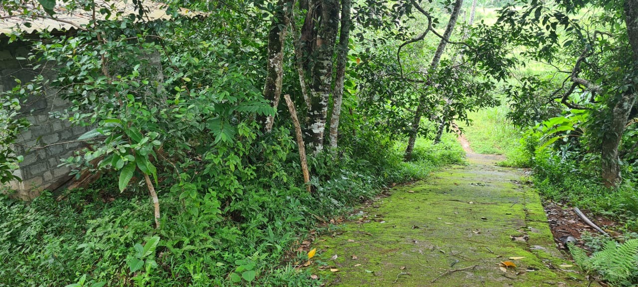 Land for Sale in Aluthgama-2