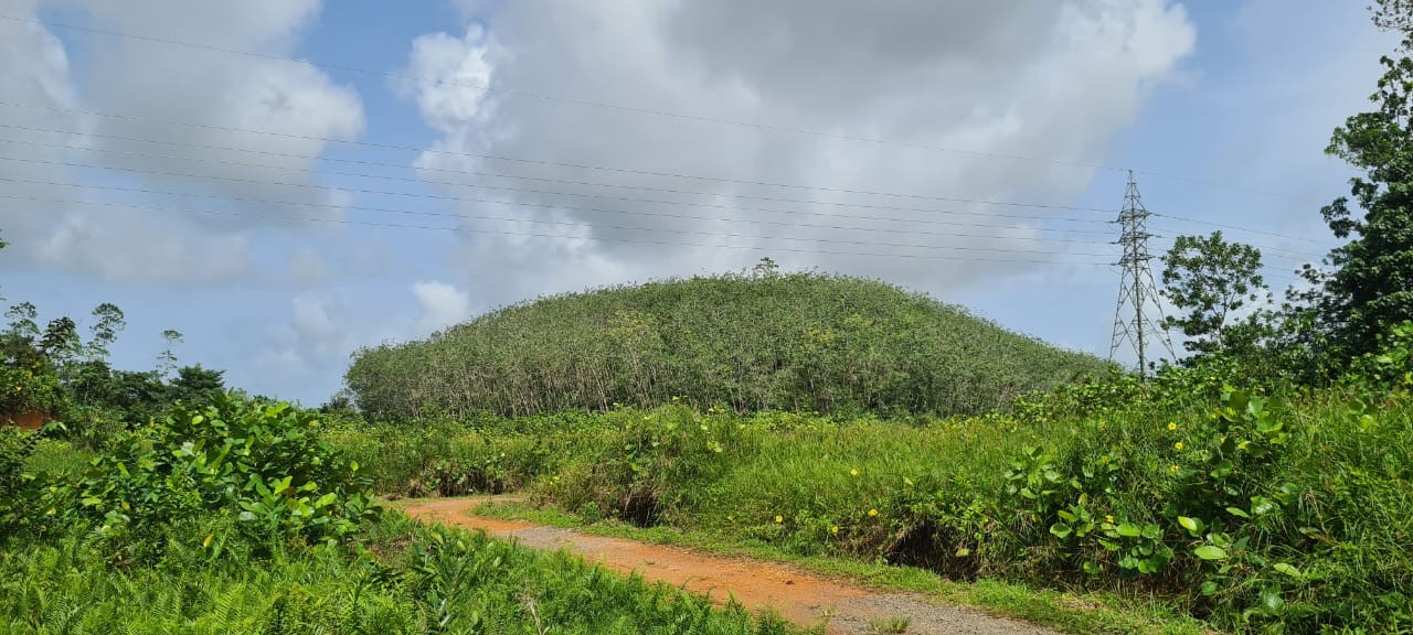 Land for Sale in Aluthgama-1