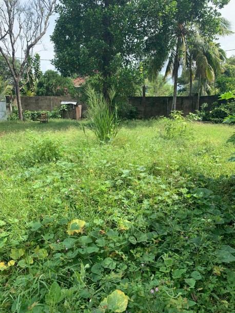 BARE LAND FOR SALE IN MOUNT LAVINIA-2